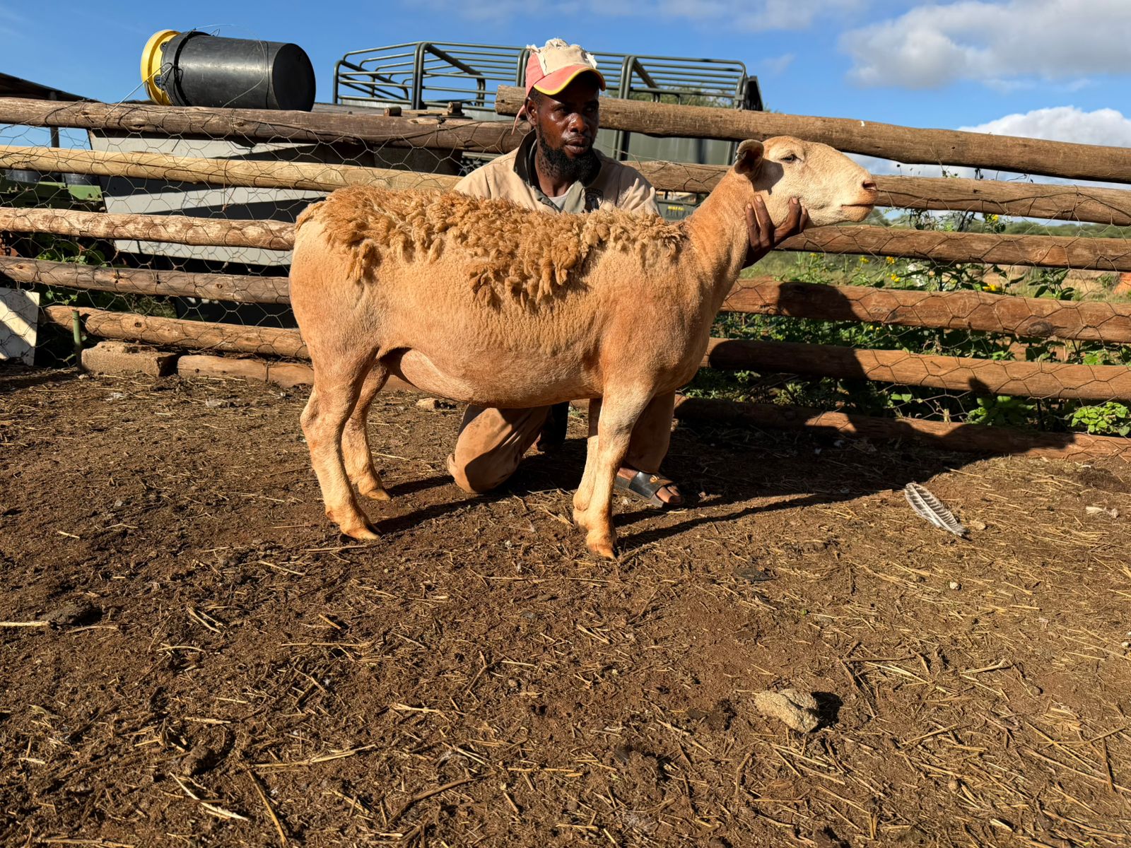 WhatsApp Image 2026-03-28 at 