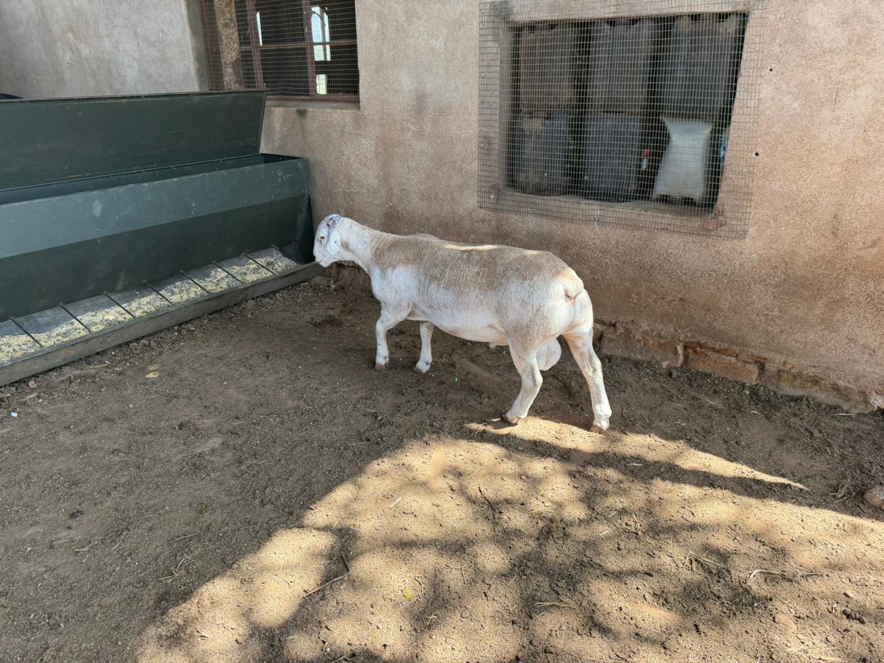 WhatsApp Image 2026-03-28 at 18.22.48