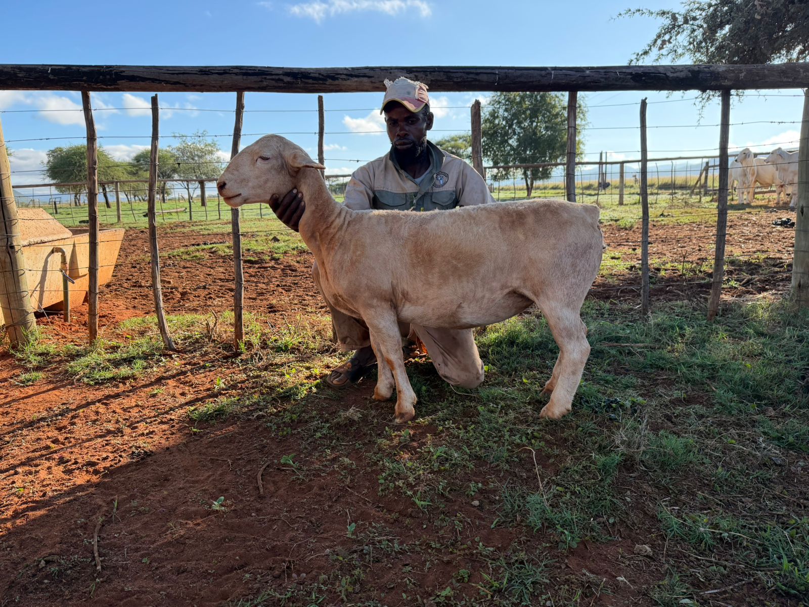 WhatsApp Image 2026-03-28 at 18.22.50