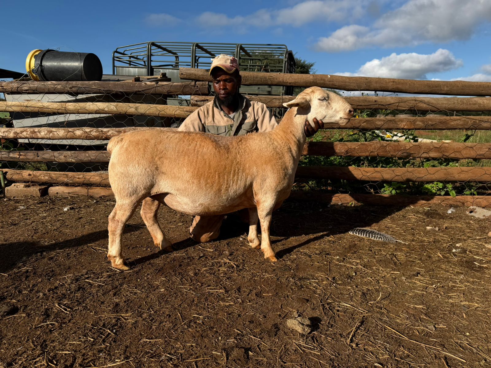 WhatsApp Image 2026-03-28 at 18.22.51